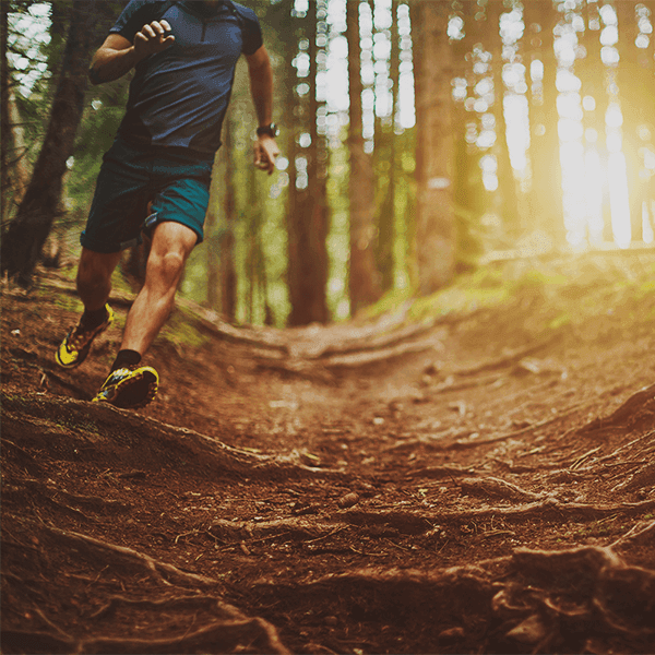 Produktbilden kan inte hittas. Låt oss springa och hämta den!